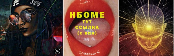 индика Медвежьегорск