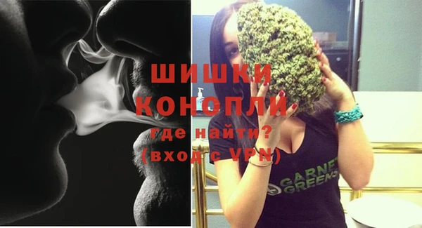 индика Медвежьегорск