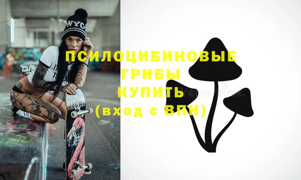 индика Медвежьегорск