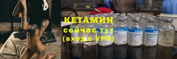 индика Медвежьегорск