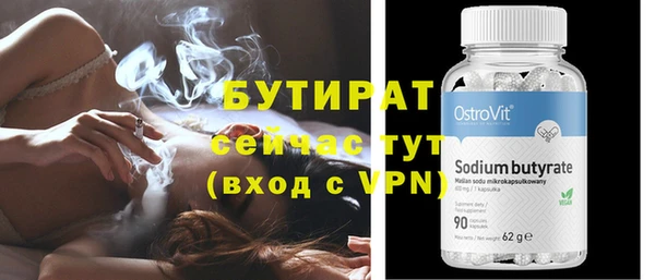 индика Медвежьегорск
