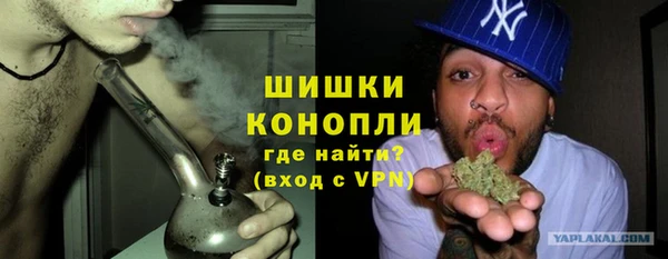 индика Медвежьегорск