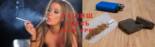 индика Медвежьегорск