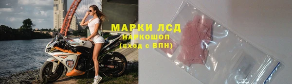 индика Медвежьегорск