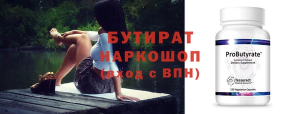 индика Медвежьегорск
