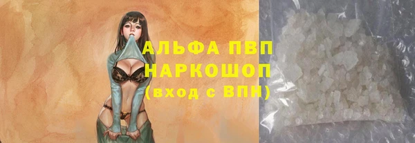 индика Медвежьегорск