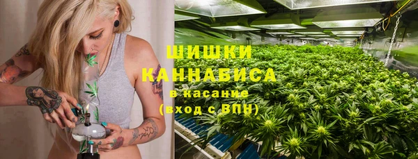 индика Медвежьегорск