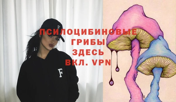 а пвп мука Медногорск