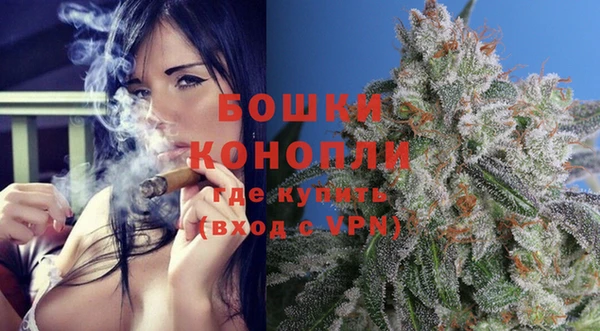 индика Медвежьегорск