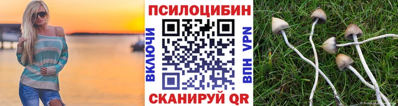 Галлюциногенные грибы мицелий  купить наркотик  Новоульяновск 